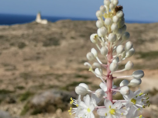 Hiking Rhodes-罗德斯必去景点