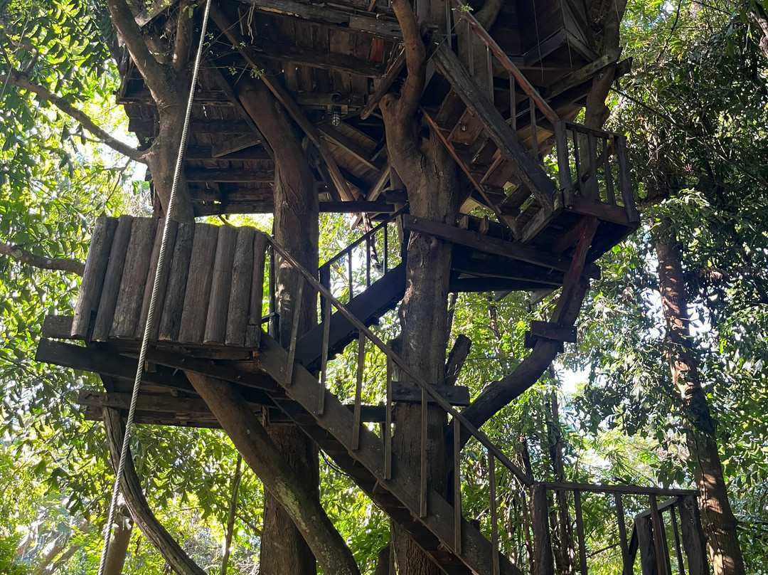 拉比昂帕萨克树屋度假村主图