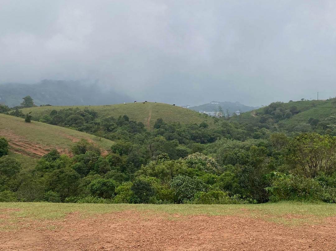 Green Meadows Vagamon主图