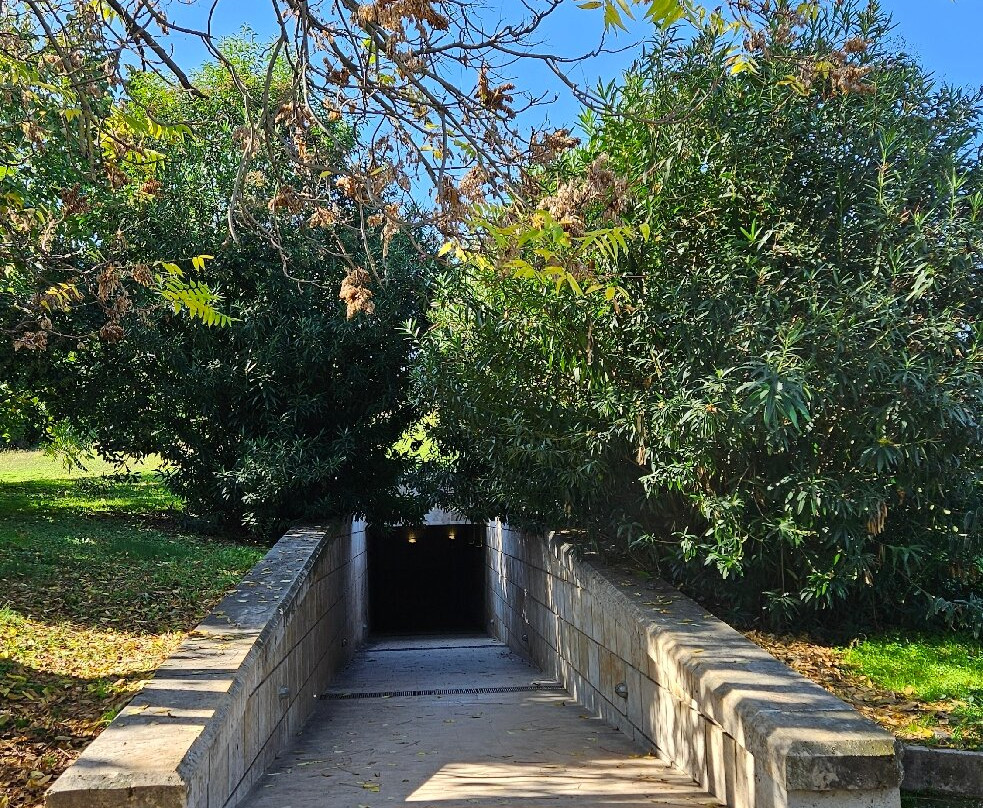 费尔吉纳十三陵及博物馆-Vergina必去景点