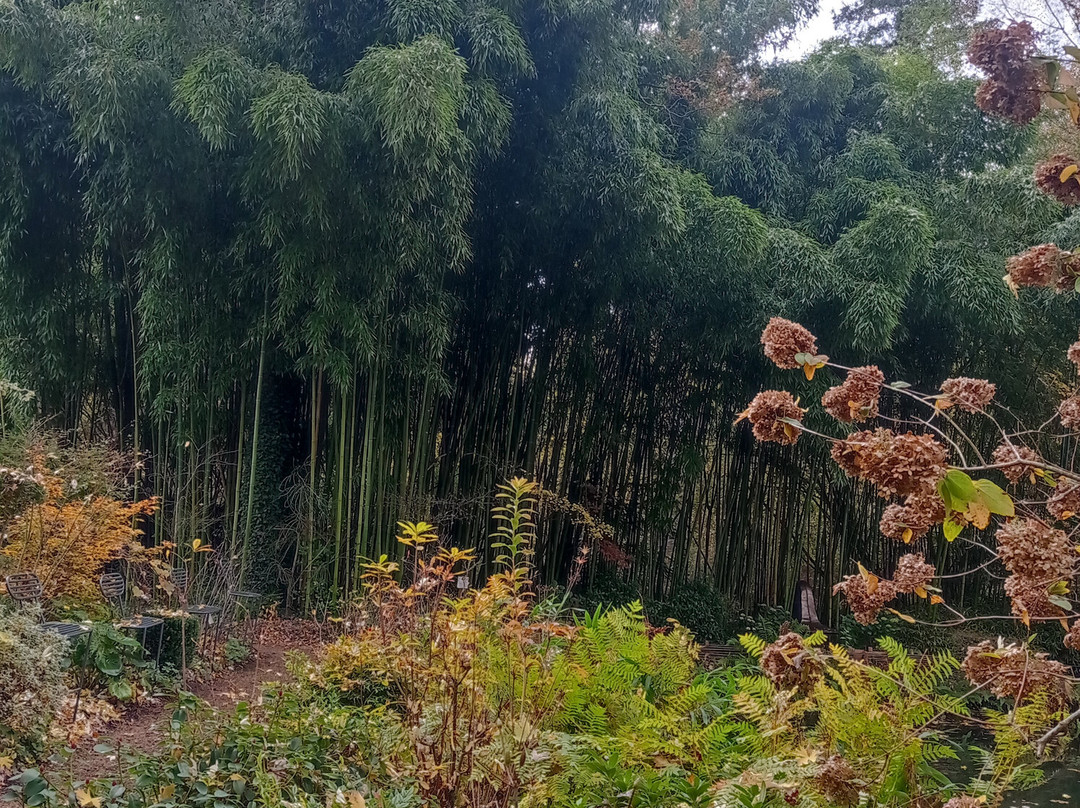 Jardin d'Atmosphere du Petit Bordeaux-罗亚尔河大区必去景点