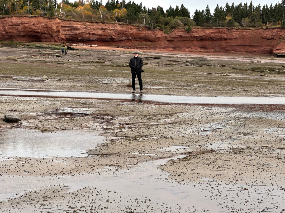 Burntcoat Head Park-Noel必去景点