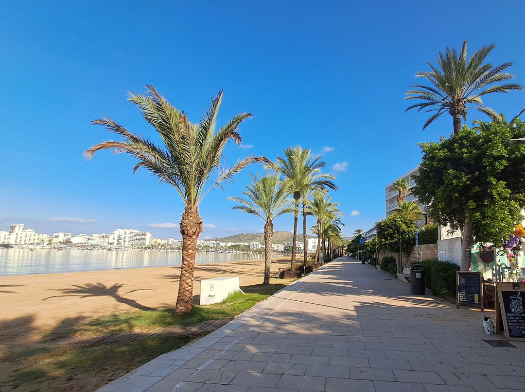 Platja de S'Arenal-圣安东尼德波特曼尼必去景点