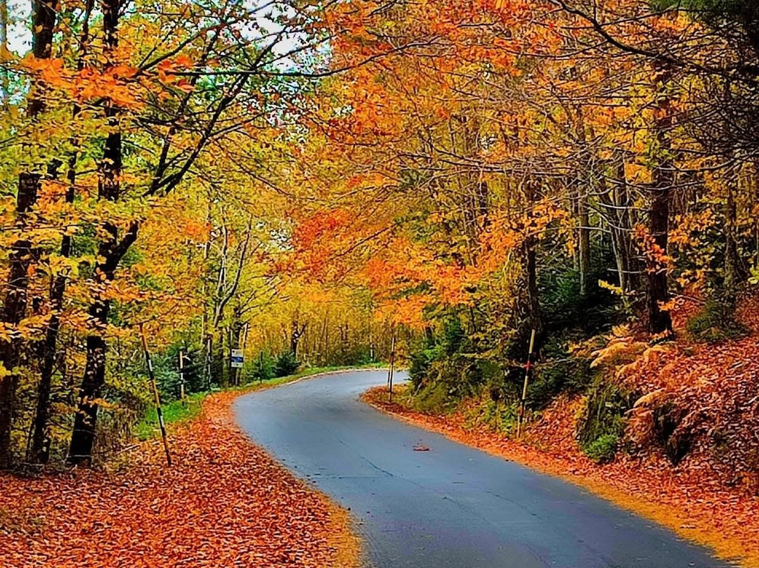 Monte Amiata-托斯卡纳必去景点