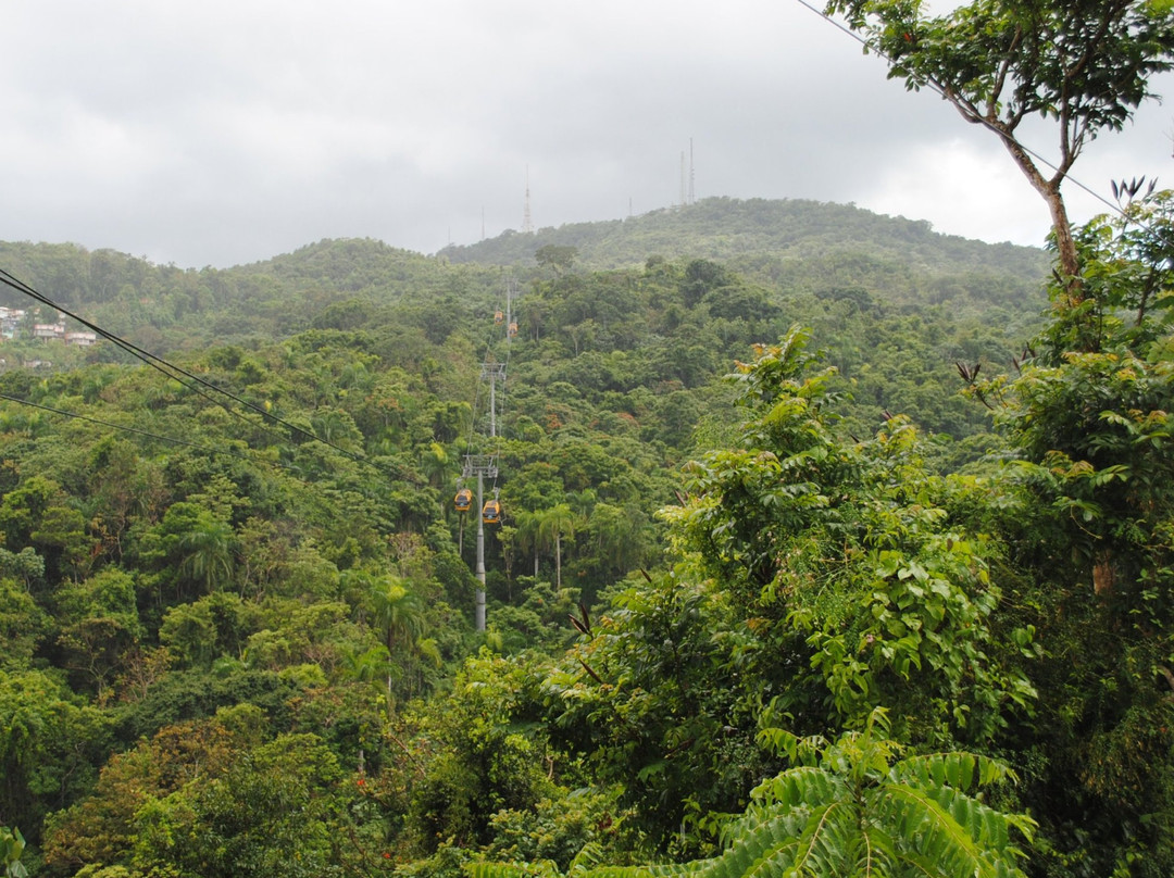 Guaynabo旅游攻略图片