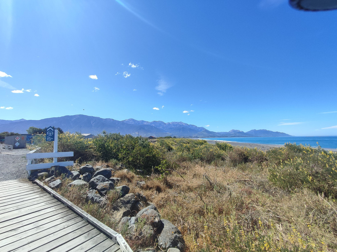 凯库拉十大假日公园主图