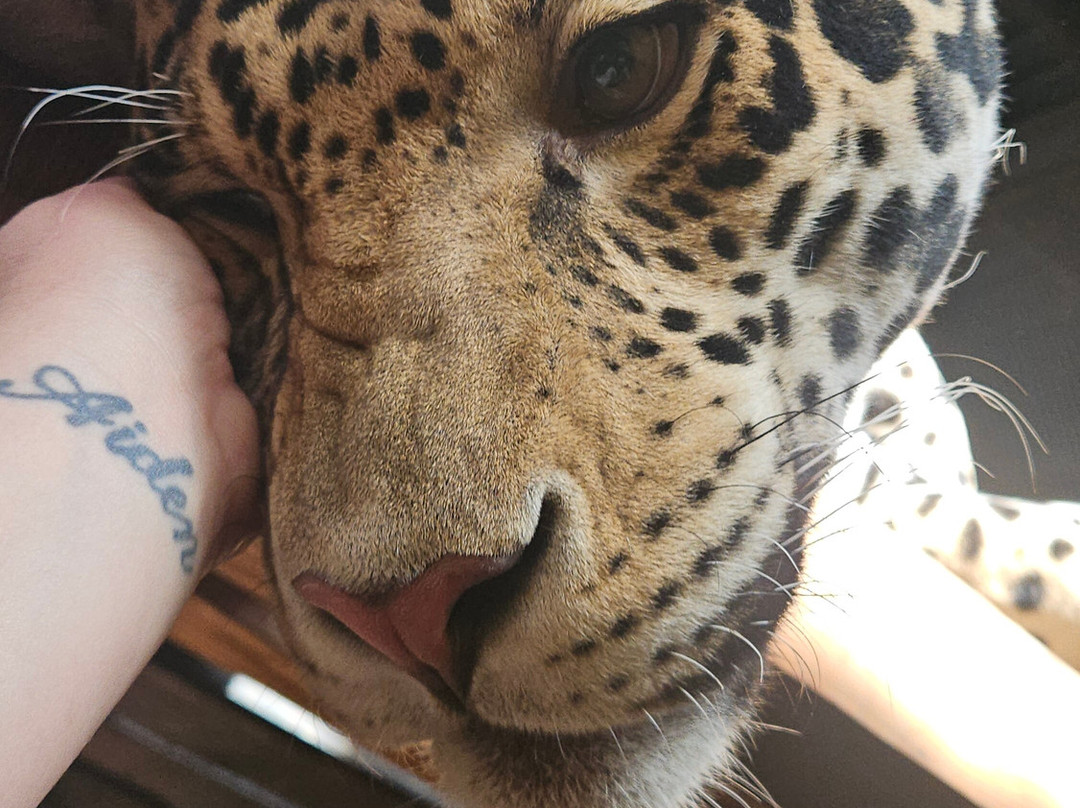 Pai Pai Ecotourism Park-恩塞纳达必去景点