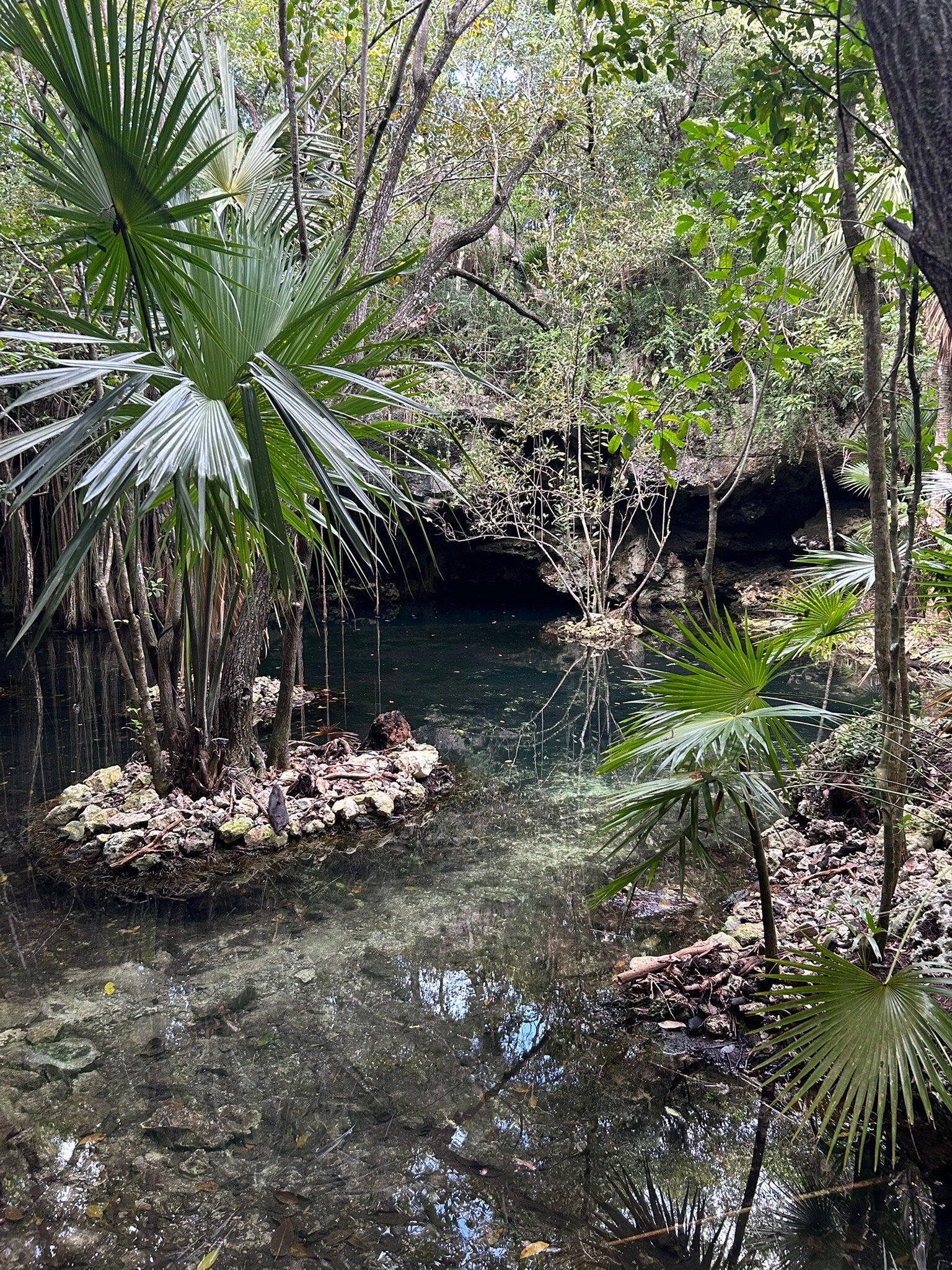 Akumal Natura Glamping-官方