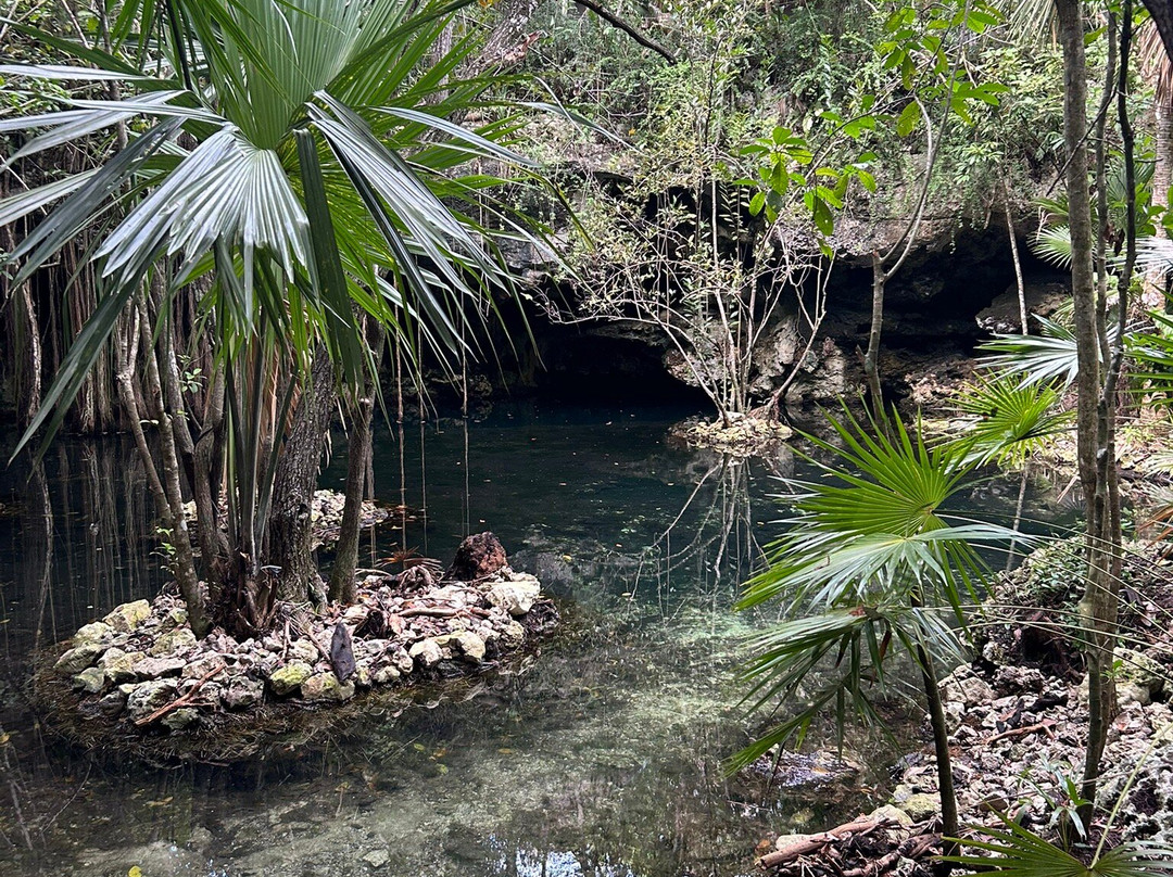 Akumal Natura Glamping主图