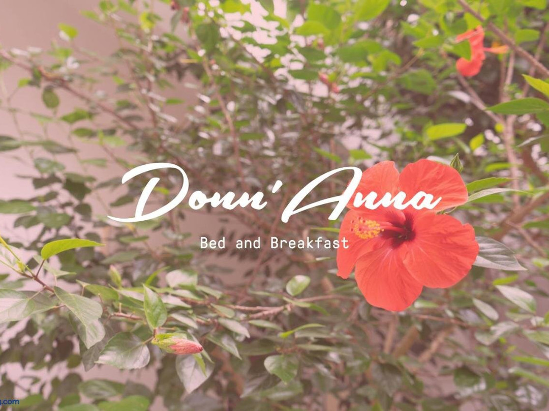 Donn'Anna B&B主图