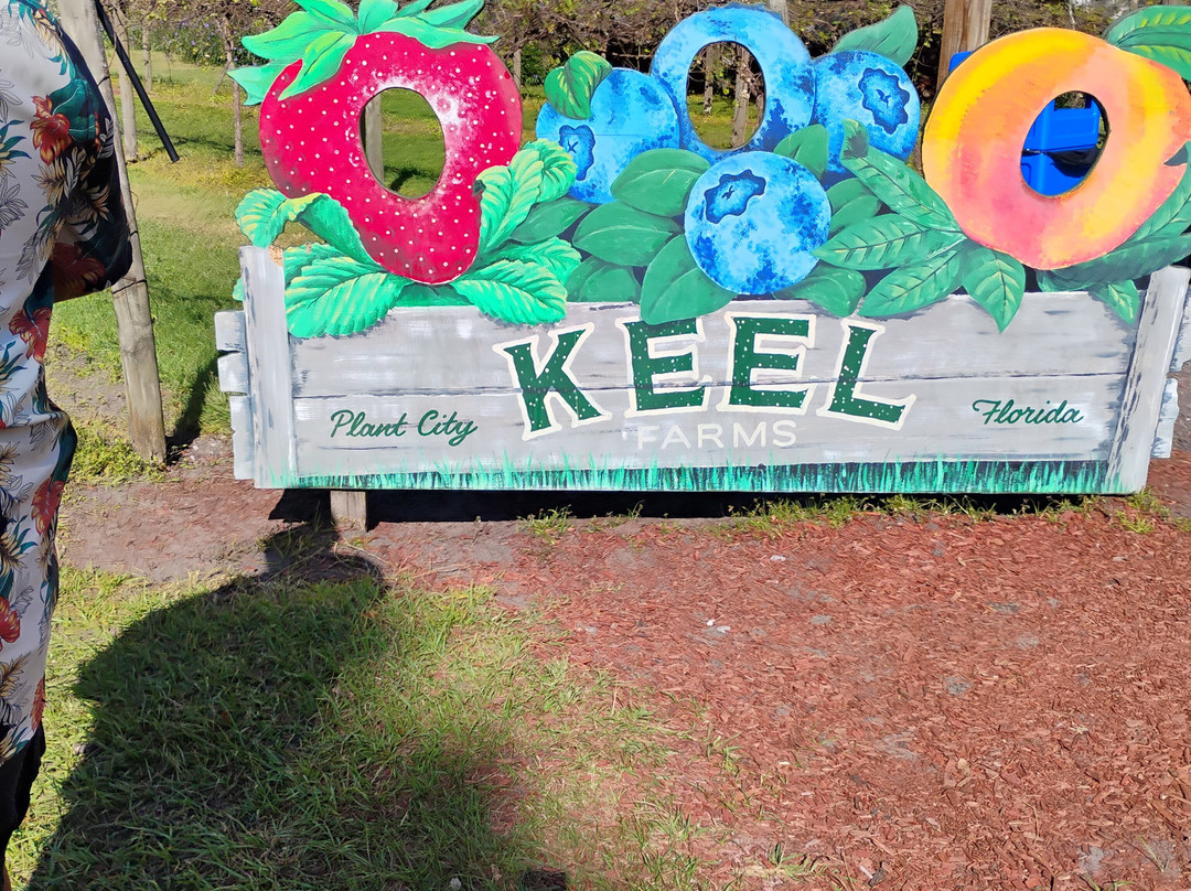 Keel And Curley Winery-普兰特城必去景点