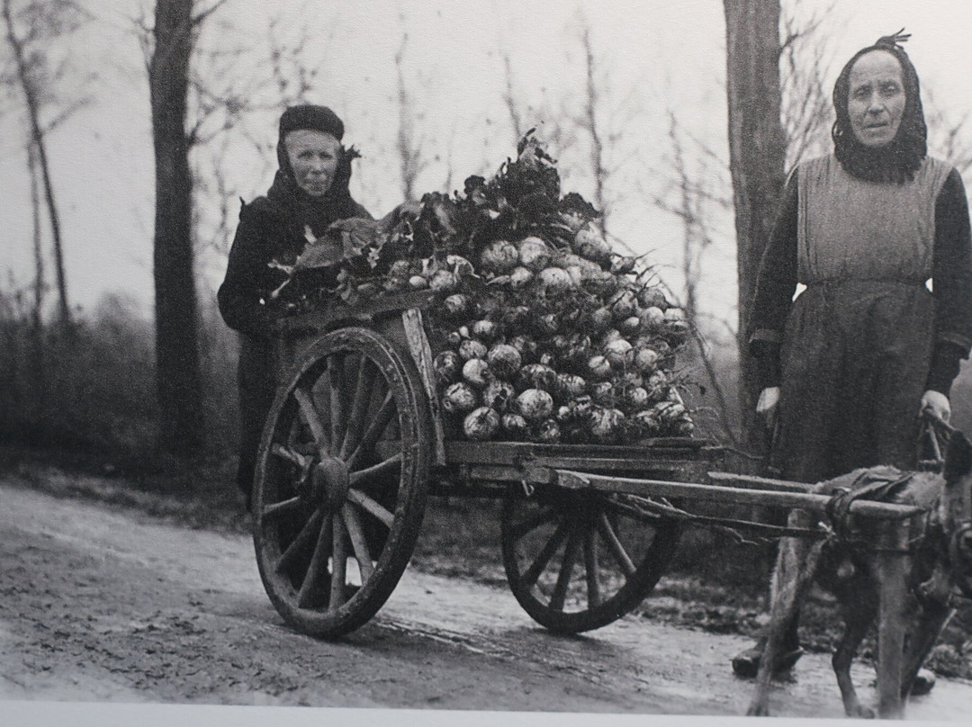Fransmansmuseum-Koekelare必去景点
