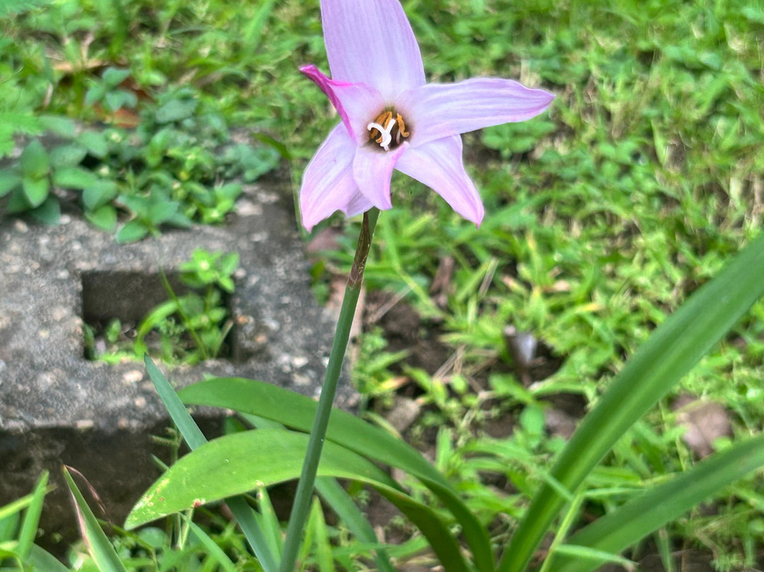 Metropolitan National Park-巴拿马城必去景点