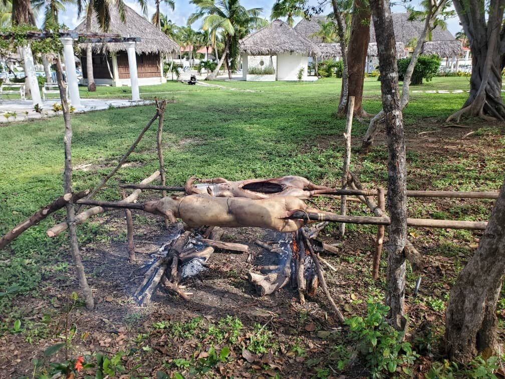 Playa Pesquero-奥尔金必去景点