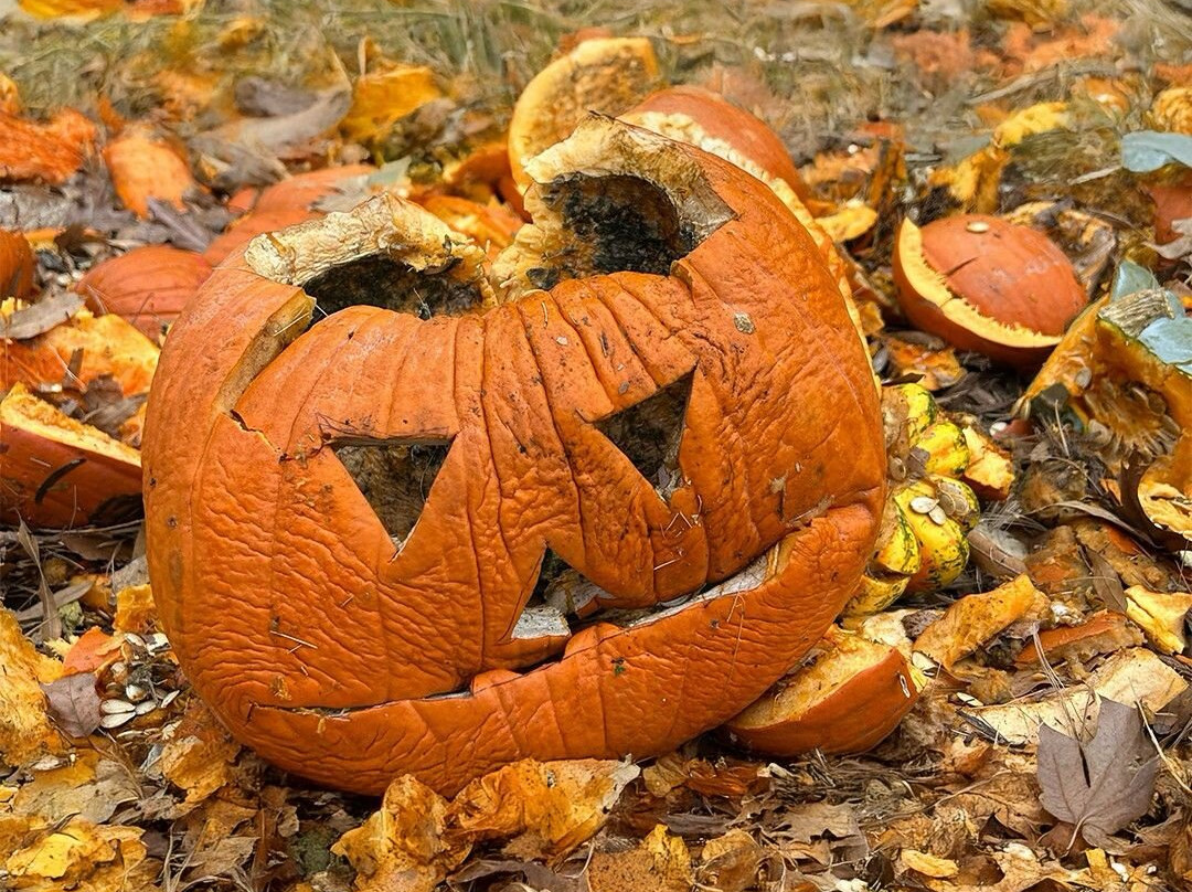 Halloween Farm-Heather必去景点