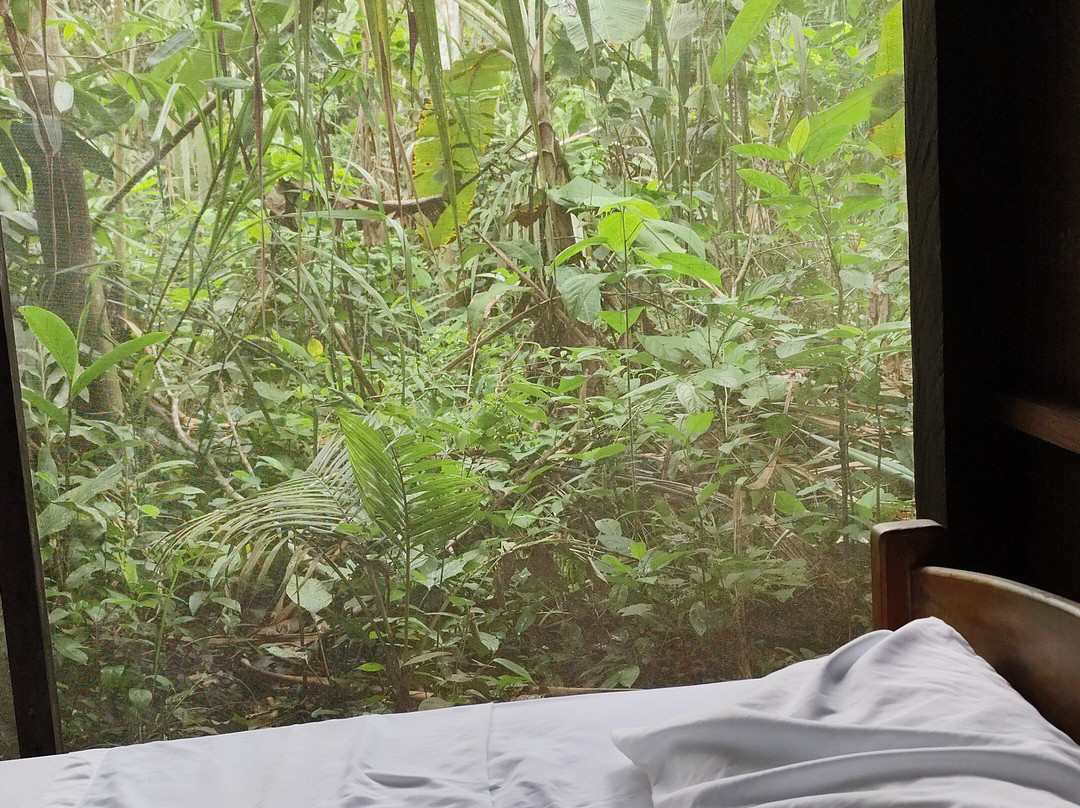 GREEN HOUSE TAMBOPATA-Filadelfia必去景点