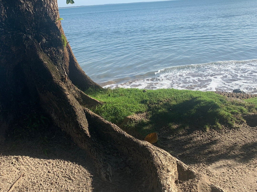 Tassimirim Beach-Ilha de Boipeba必去景点