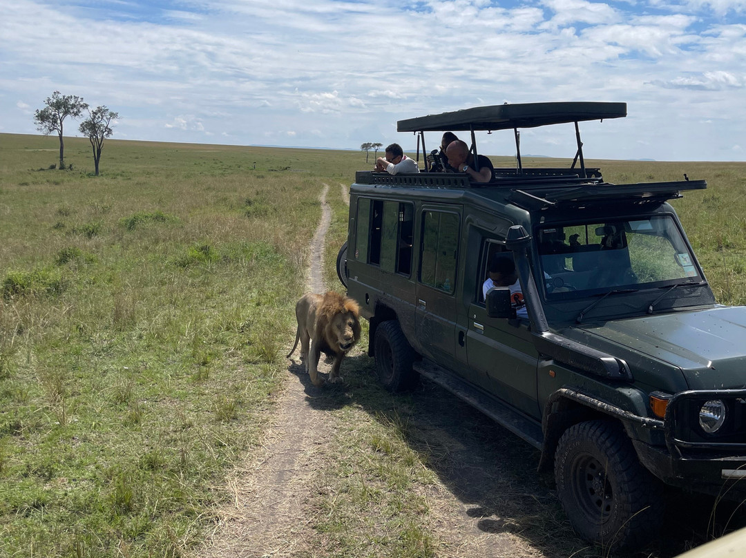 Bamm tours and safaris-内罗毕必去景点