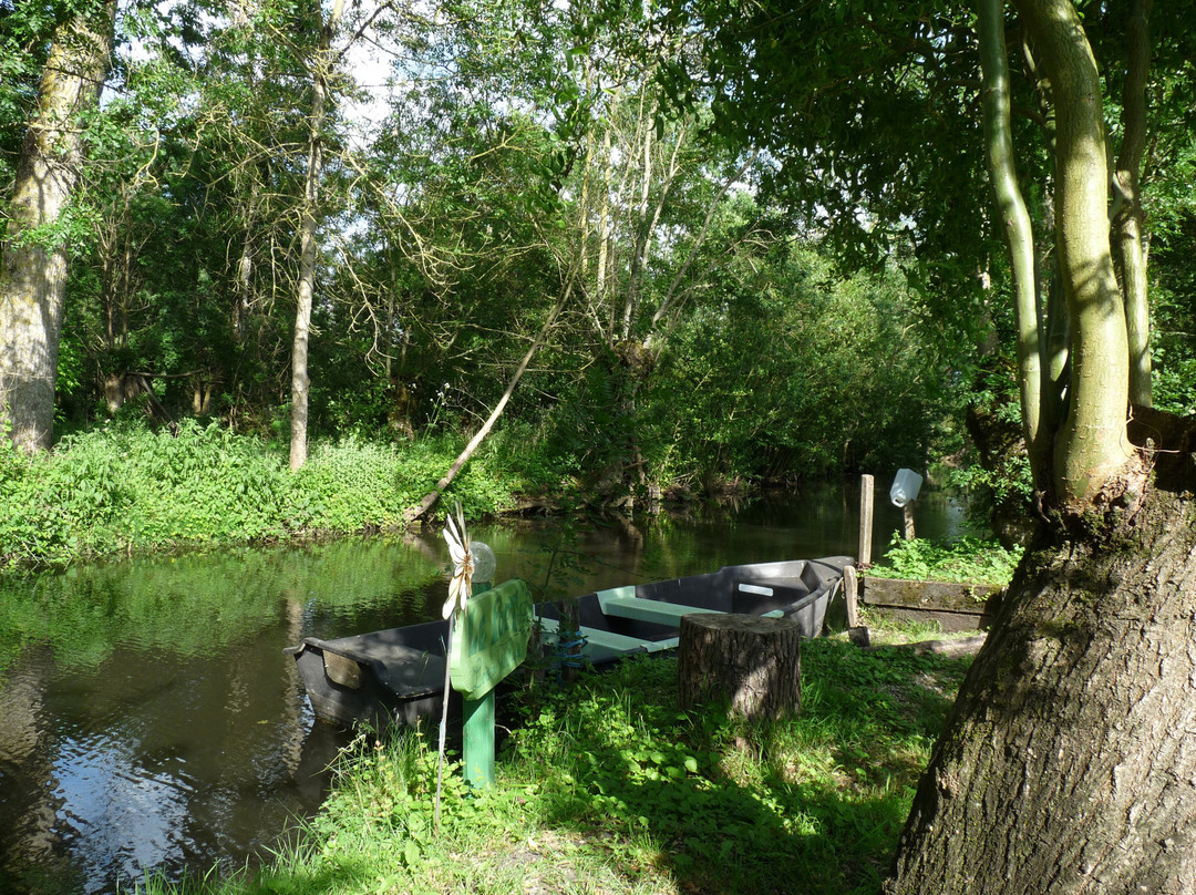 L'Oiseau du Marais主图