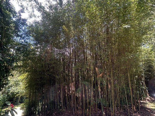 Pousada Acalanto主图