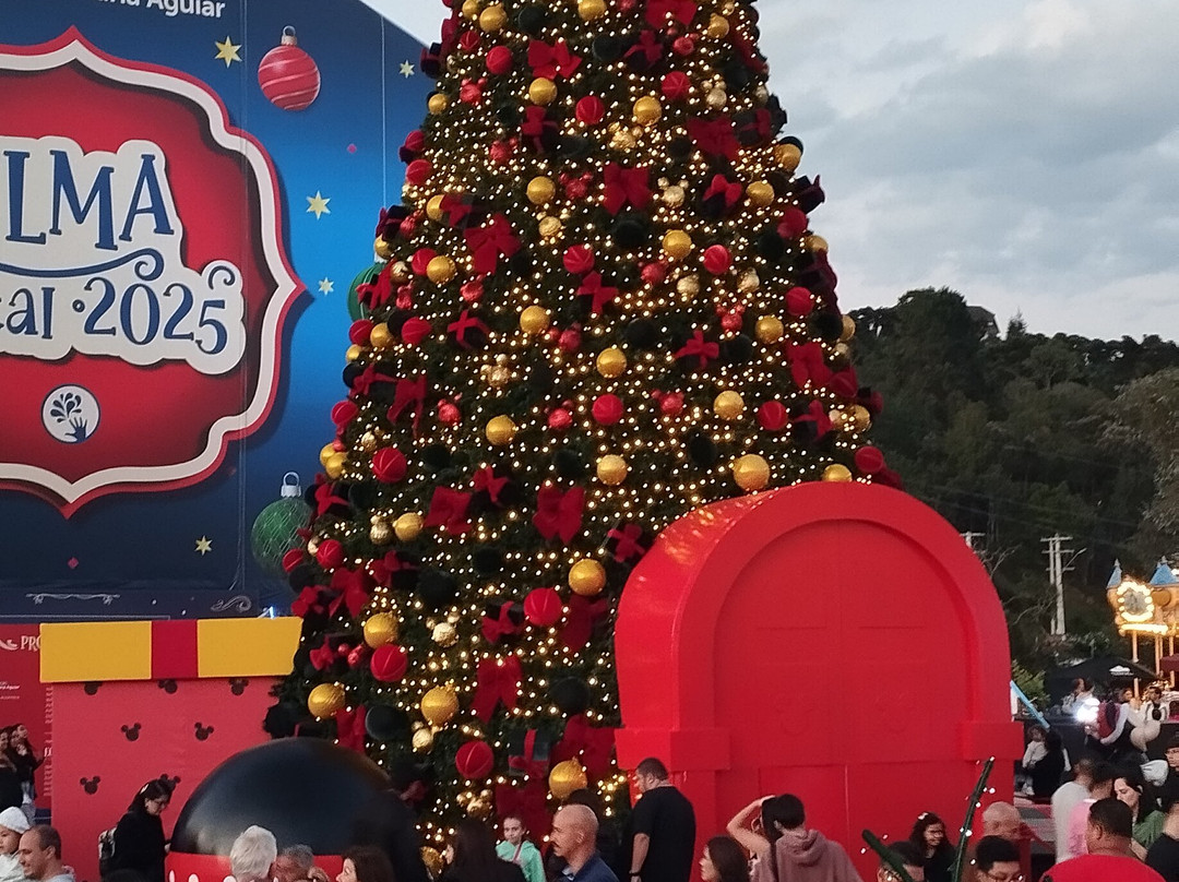 Parque Capivari-坎普斯－杜若尔当必去景点