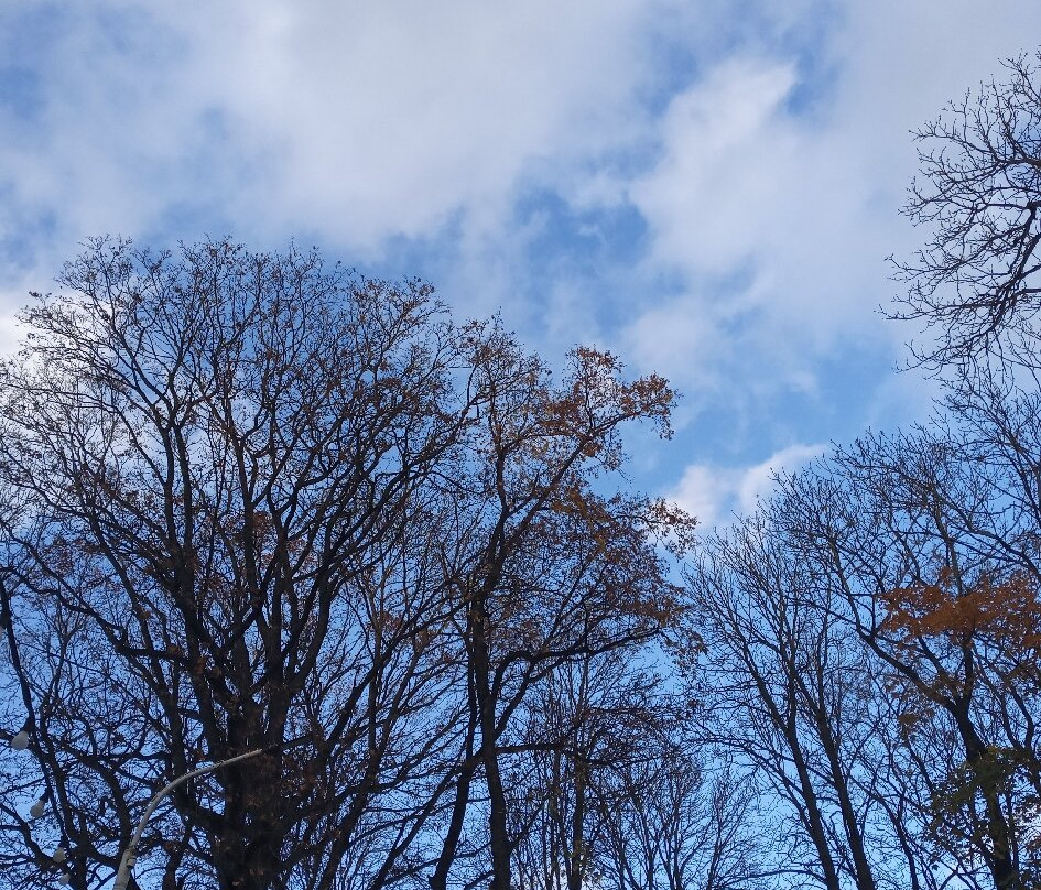 The Central Park-Stavropol必去景点