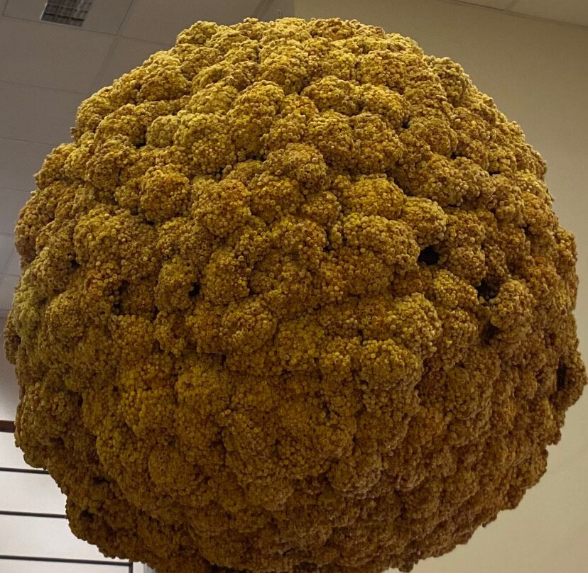 L'Occitane en Provence-马诺斯克必去景点