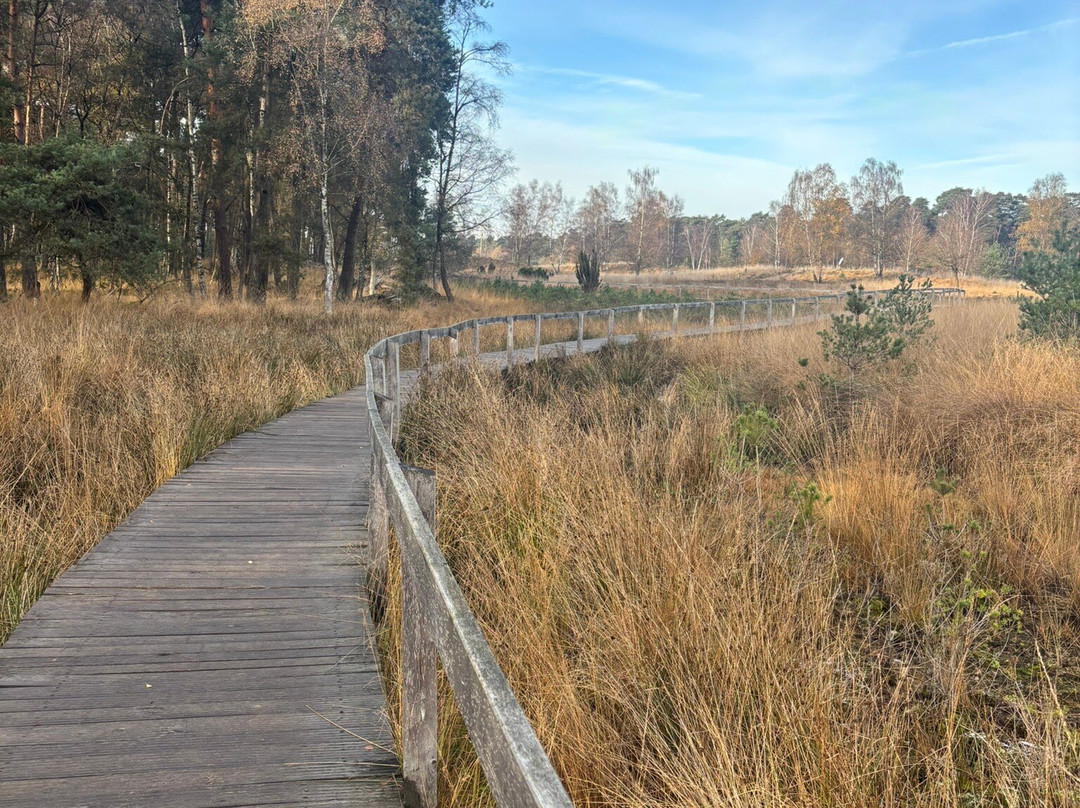 Hotel Haus Duden主图