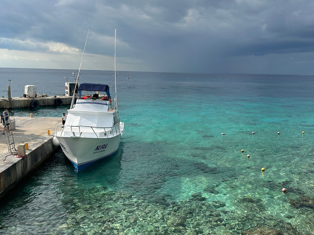 Mergulho na Trip Cozumel-San Miguel de Cozumel必去景点