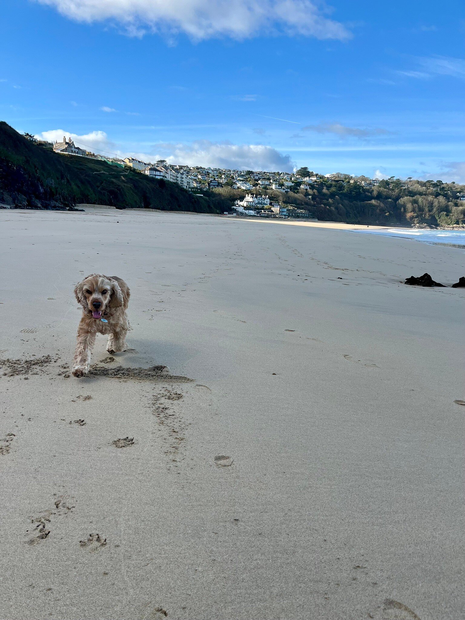 卡比斯湾温泉酒店-官方