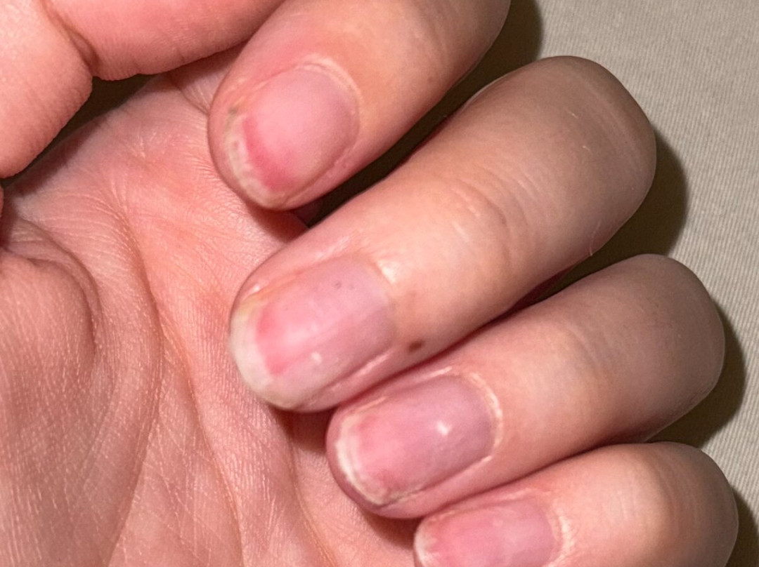 Orchid Day's Spa & Beauty Salon-Senggigi必去景点