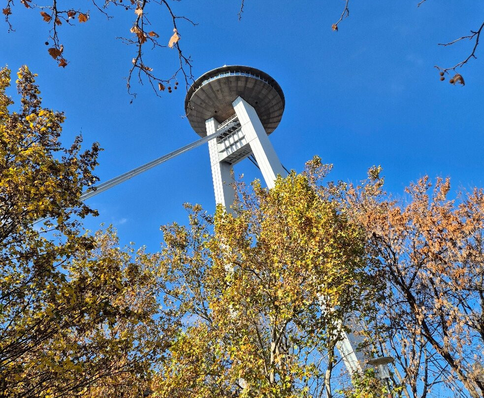 Sad Janka Kráľa-布拉迪斯拉发必去景点