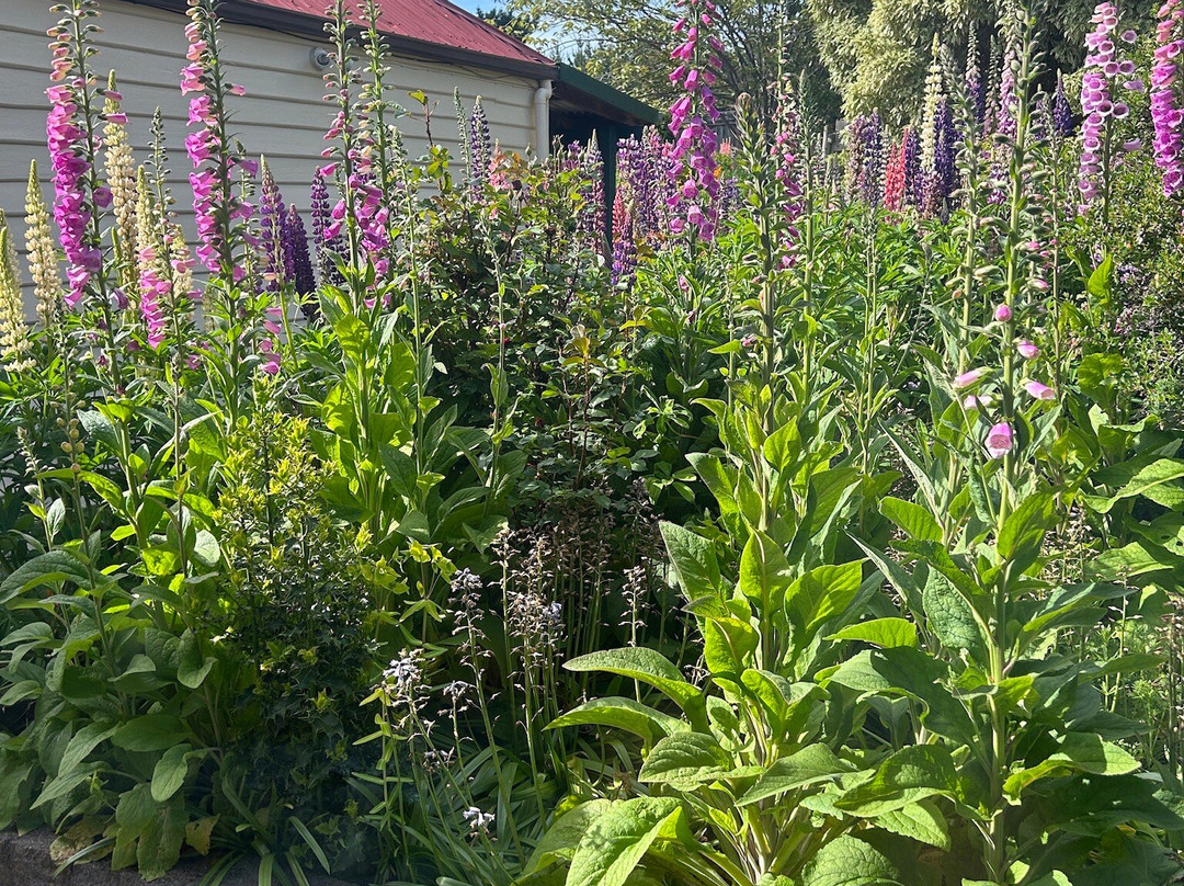 哈姆雷特丘陵地区住宿主图