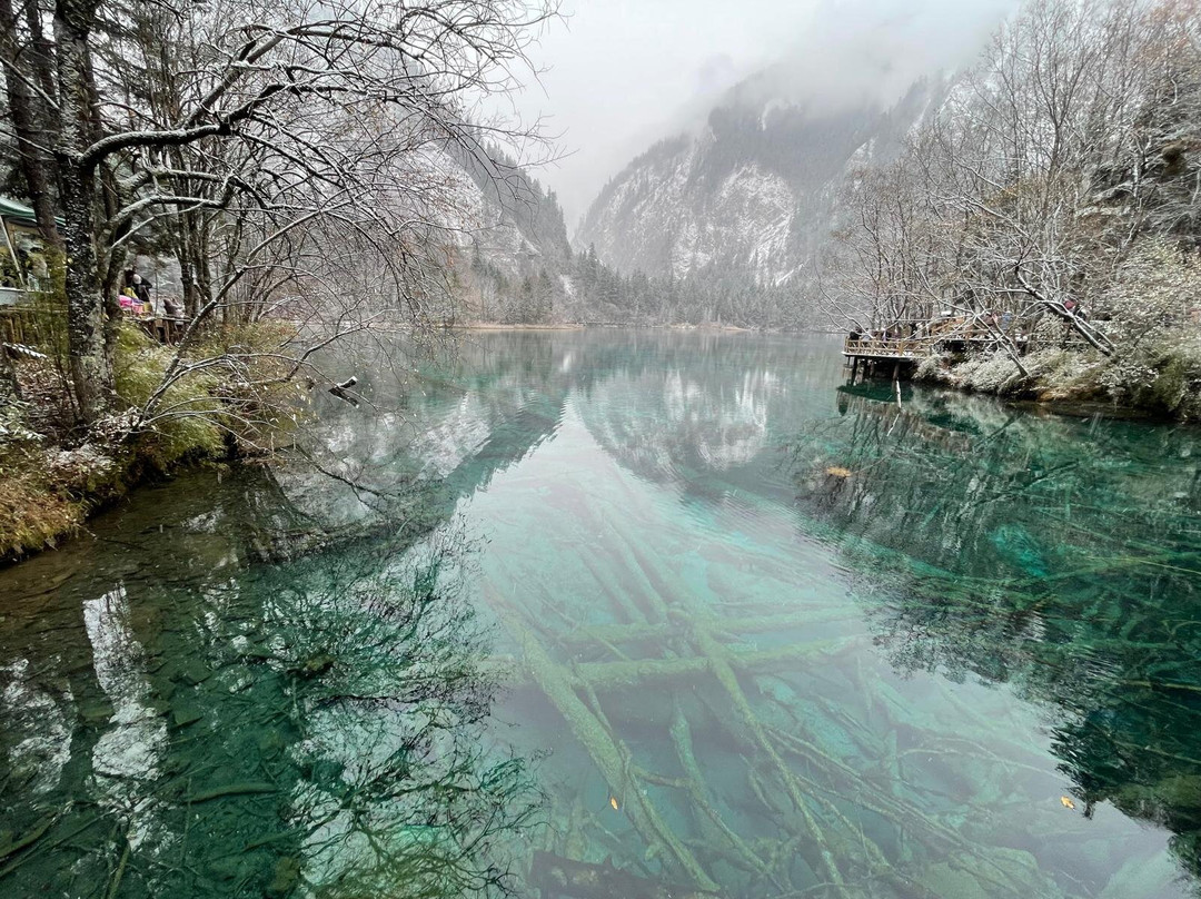 China Discovery-成都必去景点