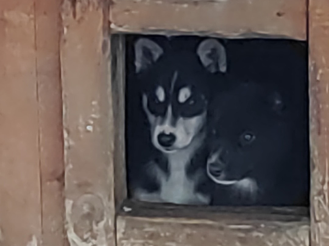 Nordland Adventures-博多必去景点