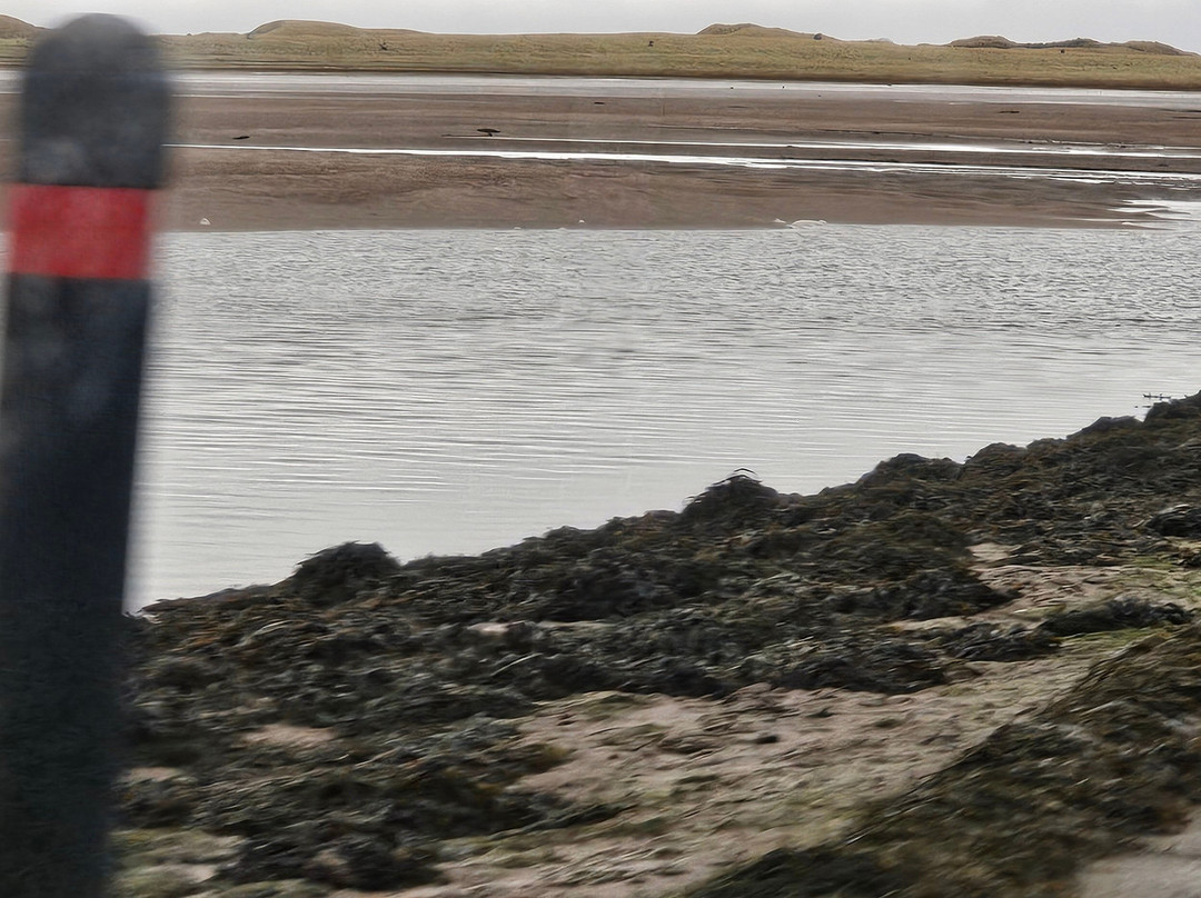 Holy Island Hikes-Holy Island必去景点