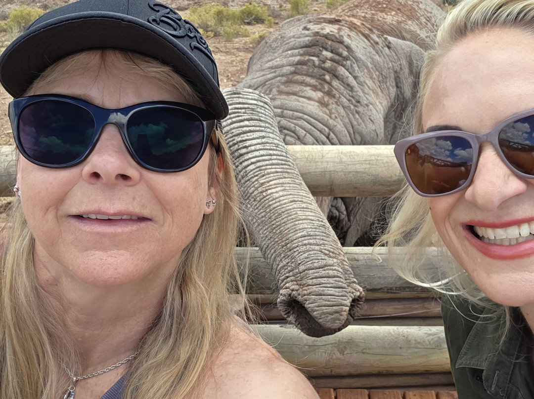 Buffelsdrift Game Lodge - Activities-奥兹洪必去景点