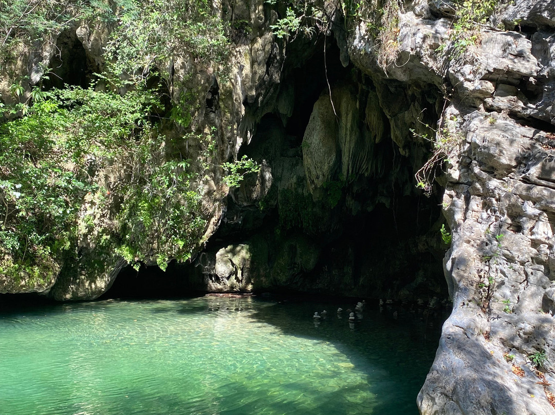 Horseback Riding Tours-特立尼达必去景点
