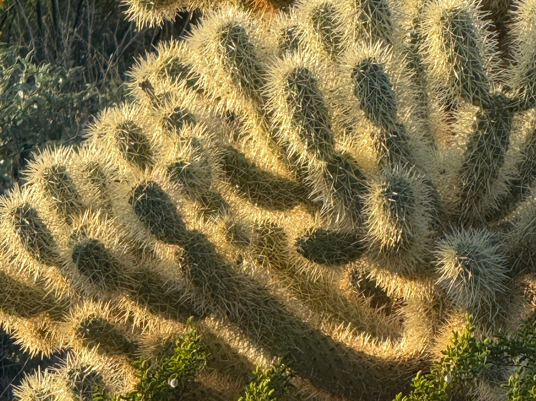 The Gateway Trailhead-斯科茨代尔必去景点