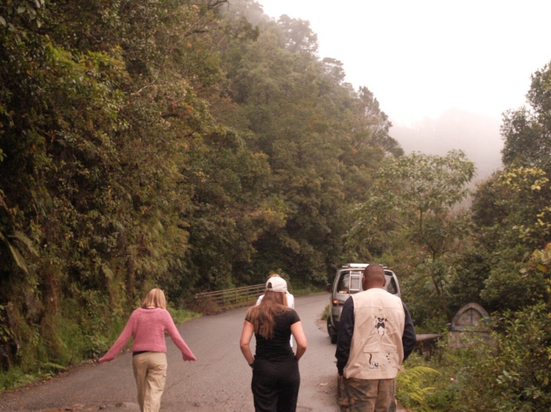 Madagascar Magic Tours-安齐拉贝必去景点
