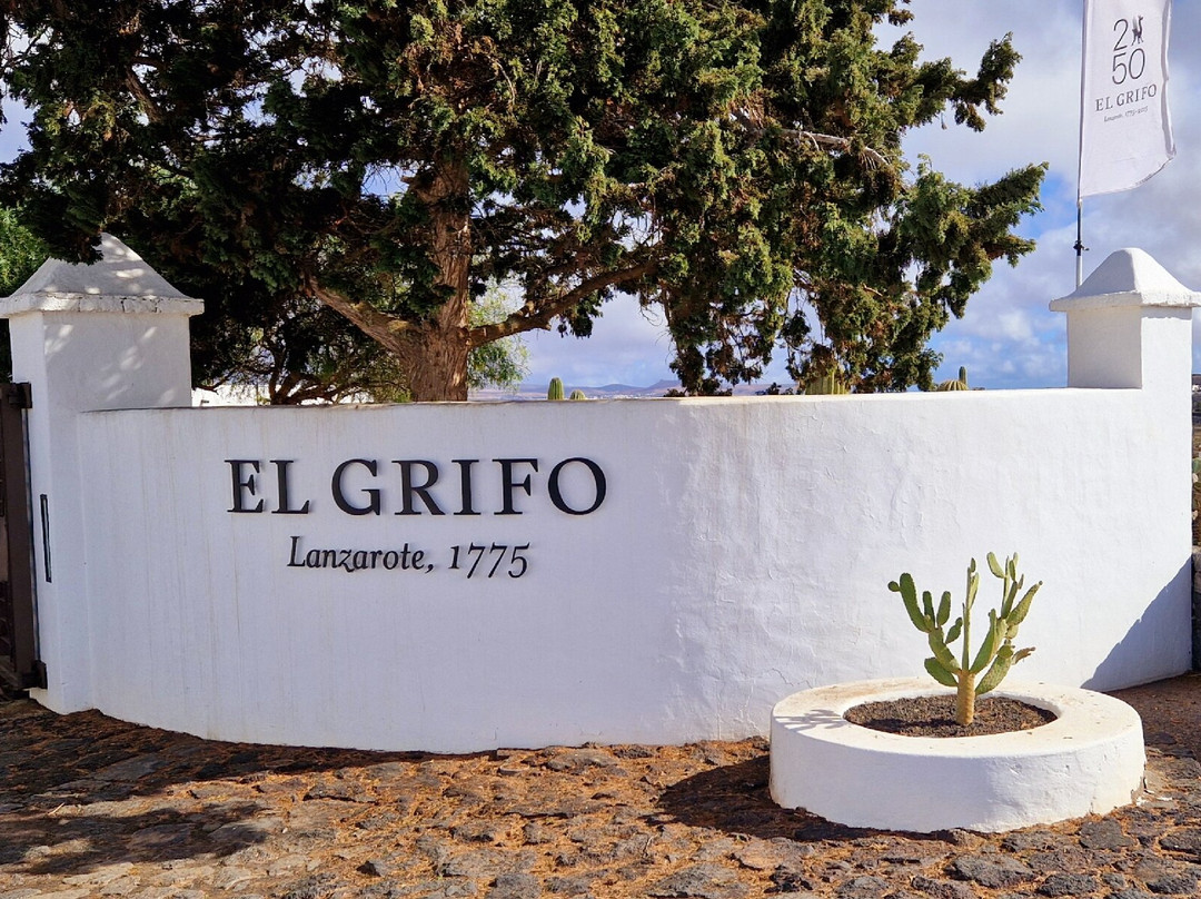 El Grifo - Museo del Vino-San Bartolome必去景点