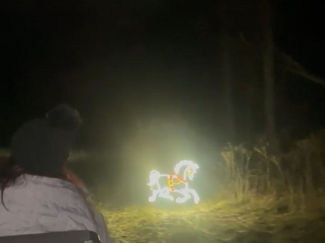 Tracks and Yaks-弗罗斯特堡必去景点