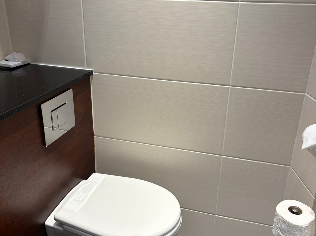 杰斯蒙纽卡斯尔假日酒店主图