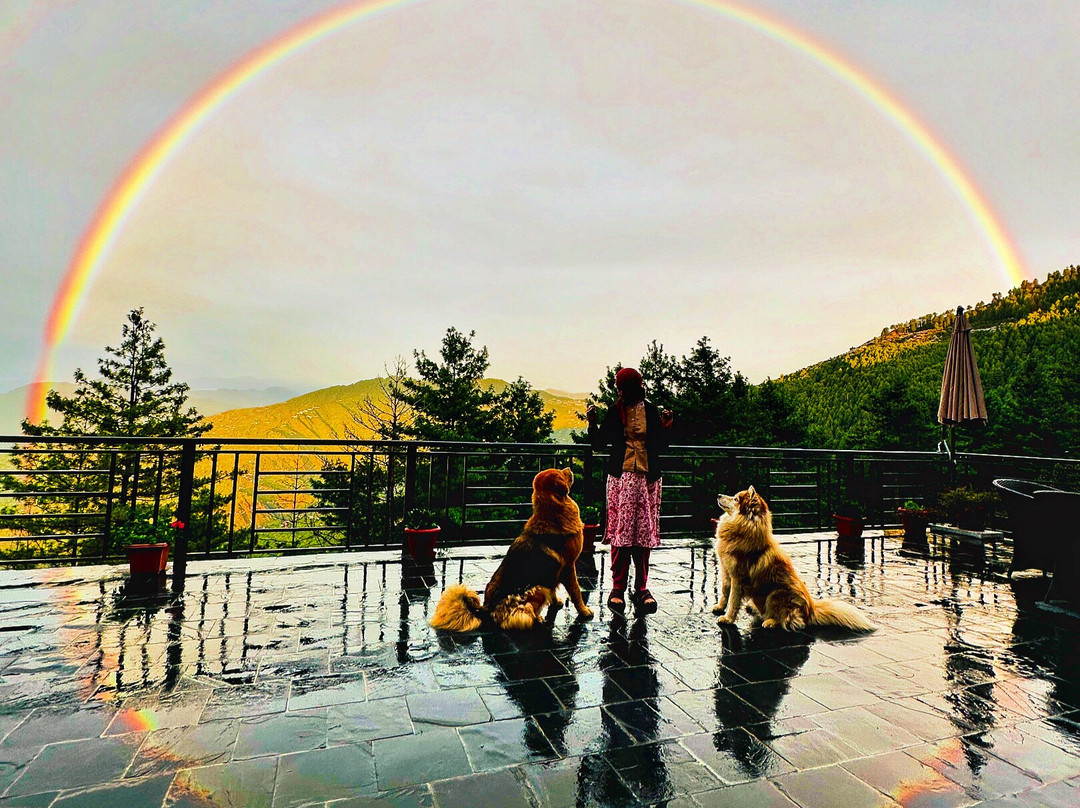 Ganasidhar酒店住宿-Deodar Cottage-A Boutique Farm Stay