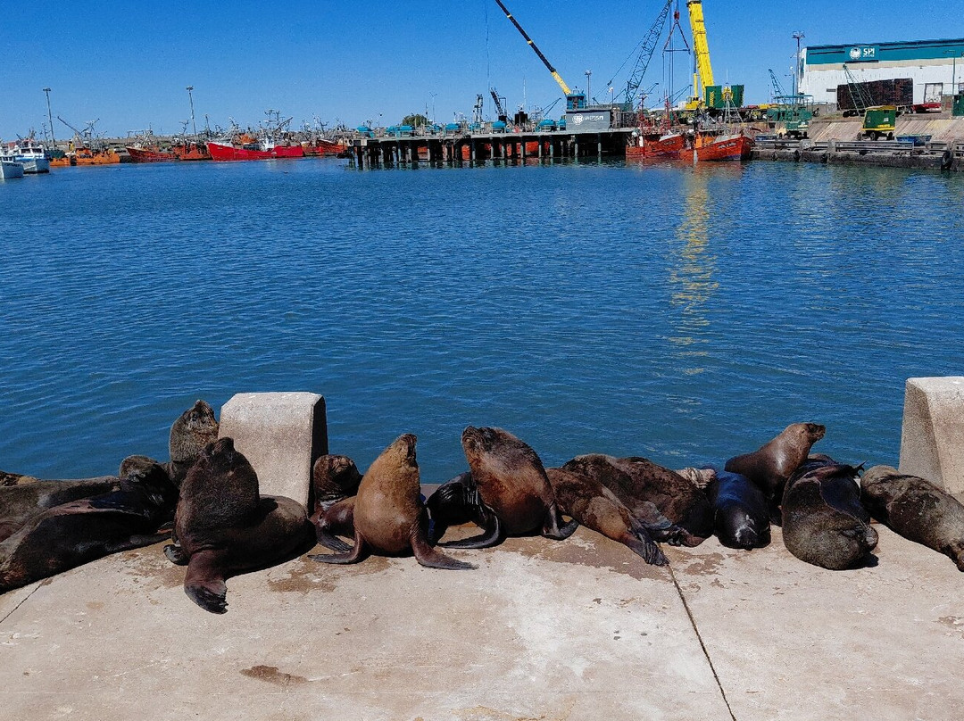 Centro Comercial Puerto-马德普拉塔必去景点