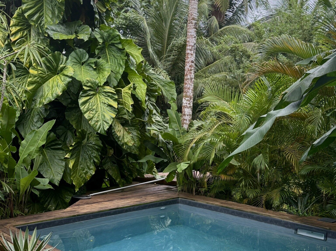 Aponi Massages Bien-être Et Spa-Goyave必去景点