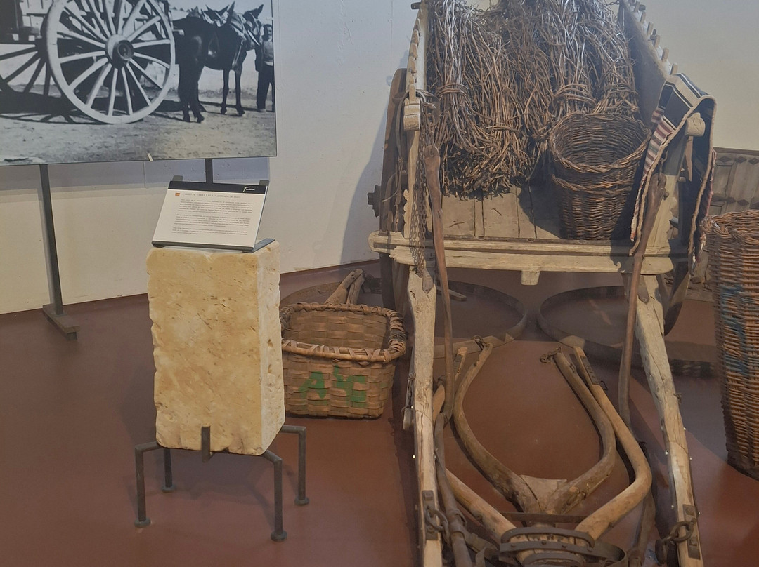 Bodegas Fariña-Toro必去景点