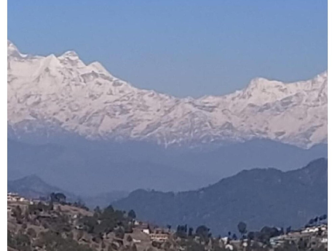 Deodar Homestay主图