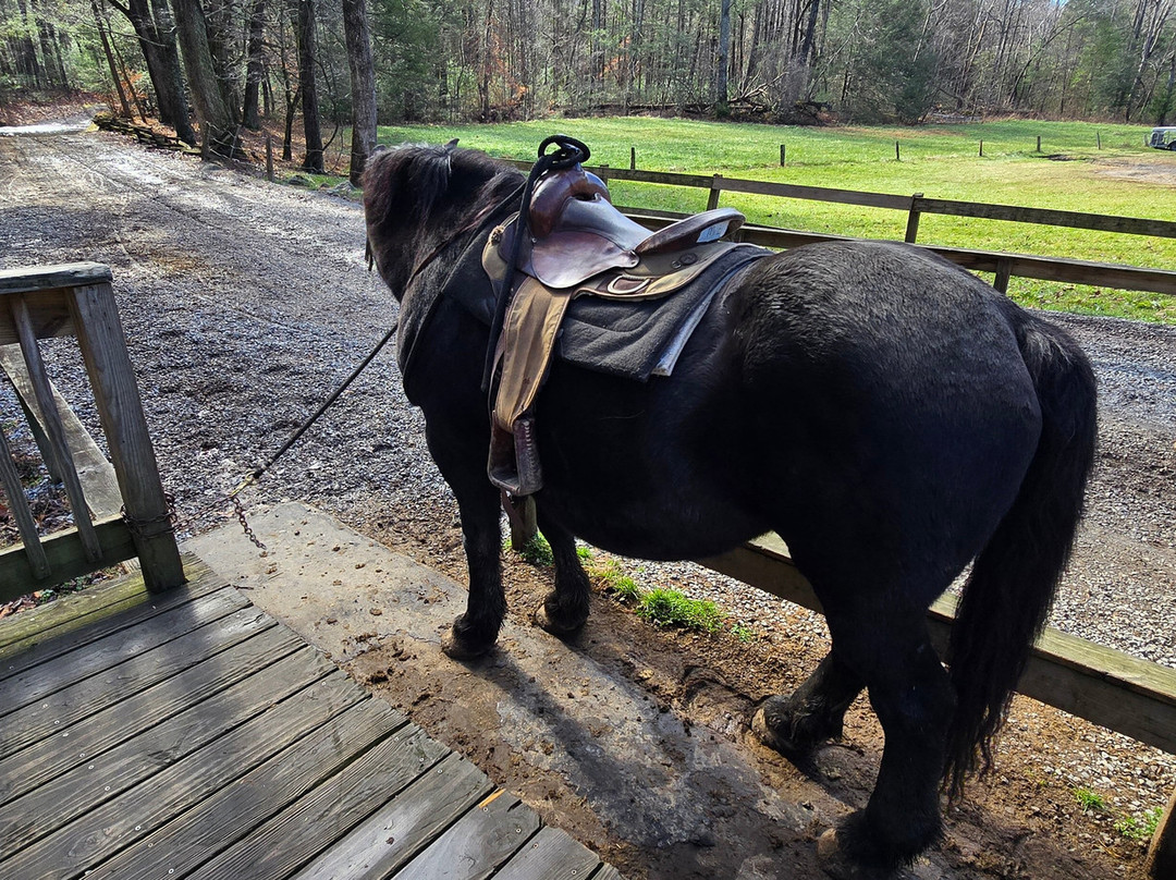 Cades Cove Riding Stables-汤森必去景点