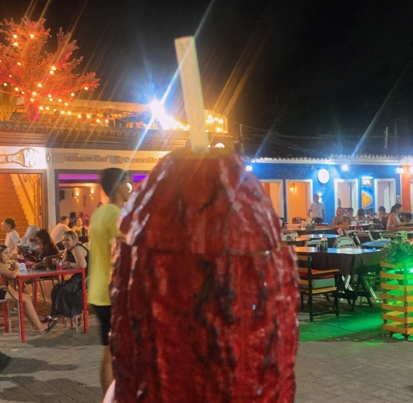 Passarela do Descobrimento-Porto Seguro必去景点